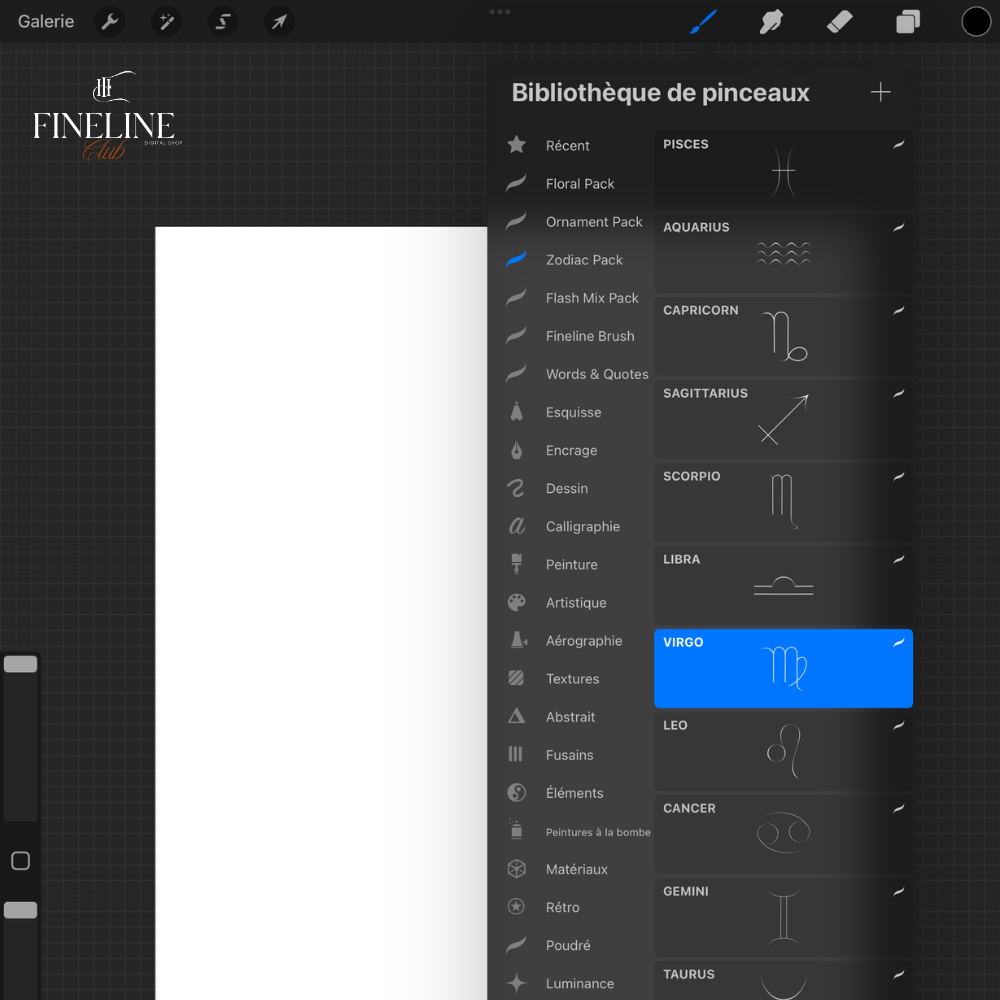 Pack de 100 flash fine line sur le thème astrologie